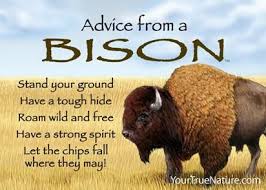 Each Magnet Says Advice From A Bison Stand Your Ground Have A Tough Hide Roam Wild And Free Have A Strong Spirit Let The Chips Fall Nature Quotes Advice Bison