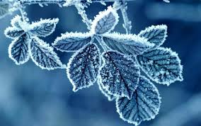 Bildresultat för invierno