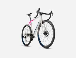 Image result for Orbea knobelii