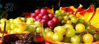 اهمیت کاربرد اسید تارتاریک در صنایع غذایی و آرایشی (مزایا + معایب) - شرکت  کیمیا تجارت تات