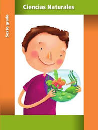 Libro de ciencias naturales para niños descargar g.: Ciencias Naturales 6to Grado By Raramuri Issuu