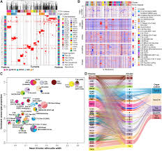 Our products are tested and proven in the fields throughout the world by countless outfitters, guide services, and industry professionals. Cell Of Origin Patterns Dominate The Molecular Classification Of 10 000 Tumors From 33 Types Of Cancer Sciencedirect