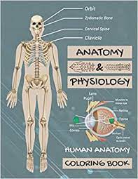 Istället tar vårt system hänsyn till saker som till exempel hur nyligen en recension har gjorts och om recensenten köpte artikeln på amazon. Anatomy Physiology Human Anatomy Coloring Book Human Body Coloring Book The Anatomy Of Coloring Book Amazon De Puzzles Dascity Fremdsprachige Bucher