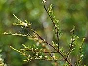 We did not find results for: Ujung Atap Wikipedia Bahasa Indonesia Ensiklopedia Bebas