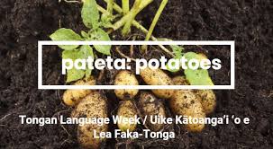 Fresh seafood's either raw or cooked in coconut milk such as fish, lobster, and octopus; Ministry For Primary Industries On Twitter MalÅ E Lelei It S Tongan Language Week Uike Katoanga I O E Lea Faka Tonga Today Pateta Potatoes Tonganlanguageweek Https T Co Leik5ty6mj