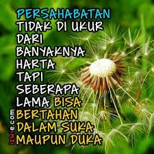1001 Quote Kata Kata Bijak Pilihan Beserta Makna Gambarnya Kutipan Persahabatan Terbaik Bijak Kata Kata Indah