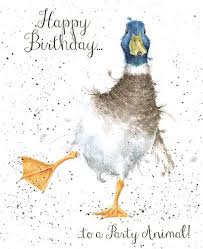 Duck Birthday Card Wrendale Designs Jpg 402 493 Duck Art Animal Paintings Happy Birthday Birds