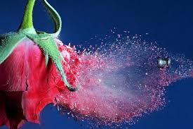 Image result for digital art desktop wallpaper