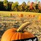 Fall Family Fun Center event image