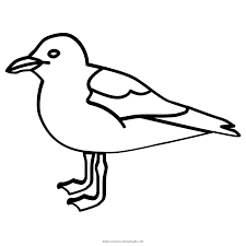 Also a more realistic coloring pages for older kids learning about seagulls. Seagull Coloring Page Ultra Coloring Pages