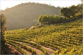 O'shaughnessy estate winery sits at 1,800 feet on the heralded howell mountain appellation in the beautiful napa valley. O Shaughnessy Wine Learn About Buy Online Wine Com