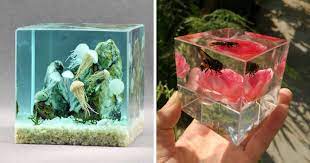 The resin also very rarely forms air bubbles. We Make Paperweights Using Fragments Of Nature And 3d Fish Embedded In Resin Bored Panda