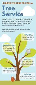 We did not find results for: 5 Signs That You Need To Call A Tree Services Company Tree Service Arborist Tree Removal