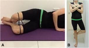 Hip abductor exercises work in the frontal plane of movement, says jamison. Hip Abductor And External Rotator Muscle Training For The Non Weight Download Scientific Diagram