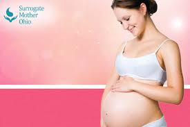 Who should i contact to pursue my surrogacy goals? How Much Are Surrogate Mothers Paid In Ohio Surrogacy Agency In Ohio