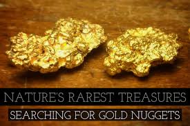 Mccoy will kindly agree to sell you a couple of rarities at a very modest (in his opinion) price of a couple of gold. Nature S Rarest Treasures Searching For Gold Nuggets How To Find Gold Nuggets