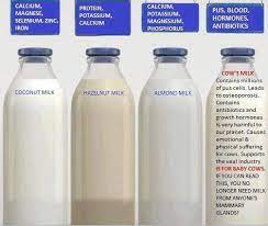 The base is red and the pus is on the top. Robert O Young Phd Dsc Naturopathic Practitioner The Dangers Of Drinking Cow S Milk Due To The Extreme Processes That Milk Goes Through And The High Amounts Of Antibiotics Hormones And Genetically Modified