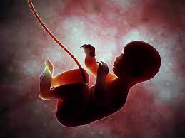 Check spelling or type a new query. Babies Can Hear And See Inside The Womb