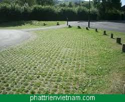 Gạch trồng cỏ 8L1 - CÔNG TY PHÁT TRIỂN VIỆT NAM