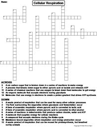 Photosynthesis crossword puzzle consists of 19 vocabulary terms to do with photosynthesis. Photosynthesis And Cellular Respiration Crossword Puzzle Mini Bundle Teaching Resources