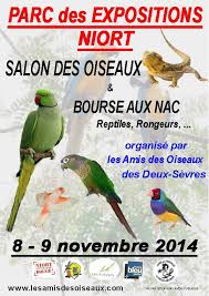 Check spelling or type a new query. Salon Des Oiseaux Et Bourse Aux Reptiles