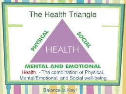 General education acute, obtuse, isosceles, equilateral…when it comes to triangle. Pin On Wellness Class