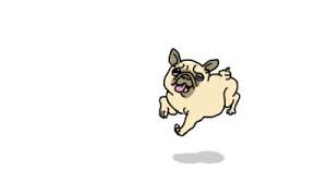 Sunday Animated Gif Pug Cartoon Animated Animals Pug Art