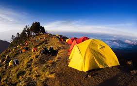 Sama halnya dengan puncak jaya dan puncak mandala, puncak trikora ini terletak di tanah papua tepatnya di provinsi papua barat. Ini Daftar Gunung Tertinggi Di Indonesia Futuready