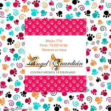 Clinica y Farmacia Veterinaria Angel Guardian
