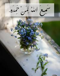 سمع الله لمن حمده Grapes Plants Fruit