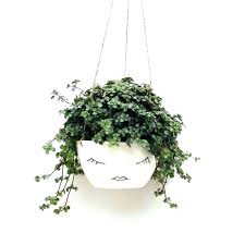 Lowes Hanging Plants Indoor Plant Pots Indoor Plant Pots Large Ceramic Indoor Flower Pots White Ceramic Hangin Hanging Plants Outdoor Plants Hanging Plants Diy