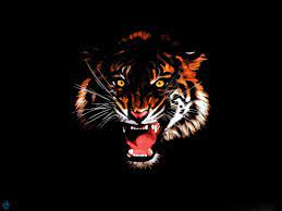 Tiger Wallpapers 3d For Iphone Animal Wallpaper Tiger Painting Wild Animal Wallpaper