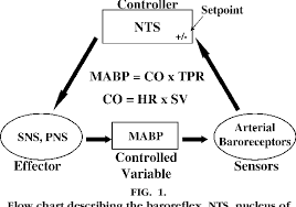 Figure 1 From Laboratory Demonstration Of Baroreflex Control