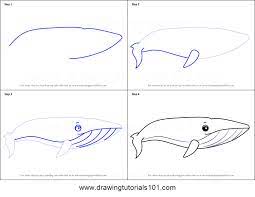 Complete the body of the whale but finishing the rear body. How To Draw A Cartoon Blue Whale Printable Drawing Sheet By Drawingtutorials101 Com Blue Whale Drawing Whale Drawing Cartoon Whale