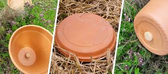 Tuto Fabriquez Des Oyas Pour Moins Arroser Votre Jardin In 2020 Organic Gardening Organic Gardening Tips Clay Pots