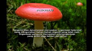 Gajah liar berada di banjaran titiwangsa, gerik. Geografi Tingkatan 1