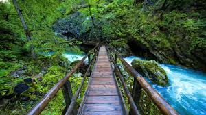 Slovenia, officially the republic of slovenia (slovene: Grunes Slowenien