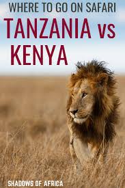 Set out on safari in six incredible wildlife refuges, seeking out some of africa's most fascinating creatures—from lions to rare black rhinos. 5 Differences Between Tanzanian Kenyan Safaris