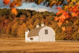 10 Best Michigan Color Tour Views To Take Your Breath Away Mynorth Com Michigan Road Trip Michigan Colors Michigan