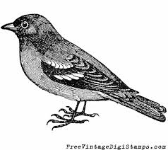 Black And White Printable Bird Pictures Free Vintage Digital Stamps Free Printable Image Sweet Sparrow Bird Bird Prints Black And White Birds Free Vintage Printables