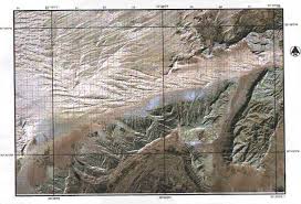 Image result for Zygophyllum leucocladum