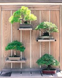 Bonsai Garden Design Bonsai Garden Bonsai Tree Types Japanese Bonsai