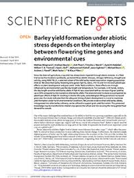 Barley Yield Formation Under Abiotic Stress Depends On The
