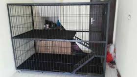 Anda harus memperhatikan dari masalah kekuatan serta tak hanya itu saja, perhatikan juga mengenai sirkulasi udara kandang yang kita buat. Dunia Ku Cara Membuat Kandang Kucing Sederhana Dan Murah