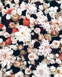 Sydney Wedding Events Florist On Instagram Spending A Free Saturday Inspecting Wedding Venues Around Sydne Flower Aesthetic Winter Flowers Flower Backgrounds