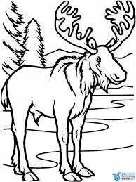 Pin On Deer Coloring Pages