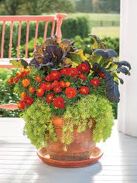 Fall is here finally which means fall landscaping ideas! 27 Fall Flowers For A Gorgeous Autumn Garden Southern Living