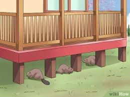 Set the deck plate place the rubber or plastic gasket, or trim ring, over the faucet holes in the sink and set the deck plate. How To Install Lattice 14 Steps With Pictures Wikihow