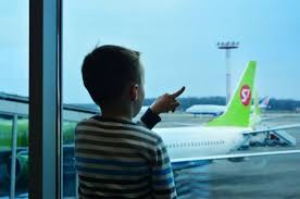 На него возлагали большие надежды: Vtoraya Aviakatastrofa Za Polgoda S7 Otmenila Polyoty Na Boeing 737 Max Obshestvo Aif Novosibirsk