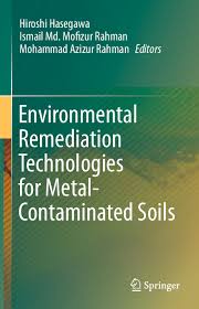 Check spelling or type a new query. Pdf Environmental Remediation Technologies For Metal Contaminated Soils M Azizur Rahman Academia Edu